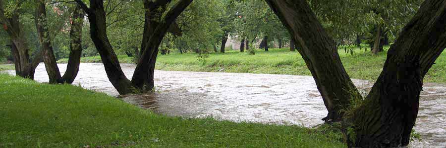 Flood warning system